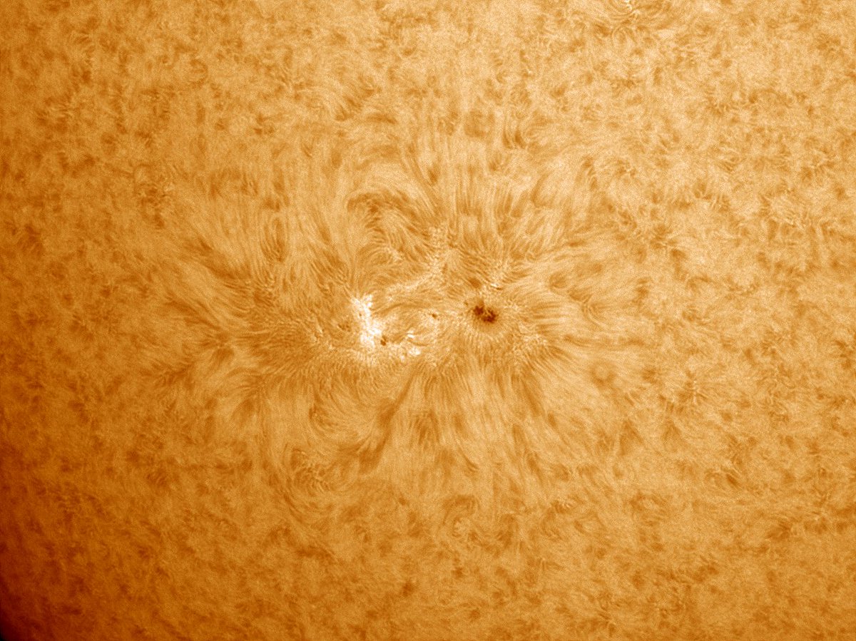 UllrichDittler's tweet photo. The new #Sunspot is great to look at today!
#Solarobserver, #Astrophotography, #Sun https://t.co/PMk7wbBbfz