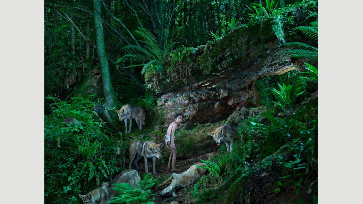 There are certainly more recent, exceptional examples of children raised in the wild. Even examples of those, such as four-year old Shamdeo below. “He was playing with wolf cubs.” These are often unfortunate stories, not happy myths, but they exist http://www.bbc.com/culture/story/20151012-feral-the-children-raised-by-wolves /10