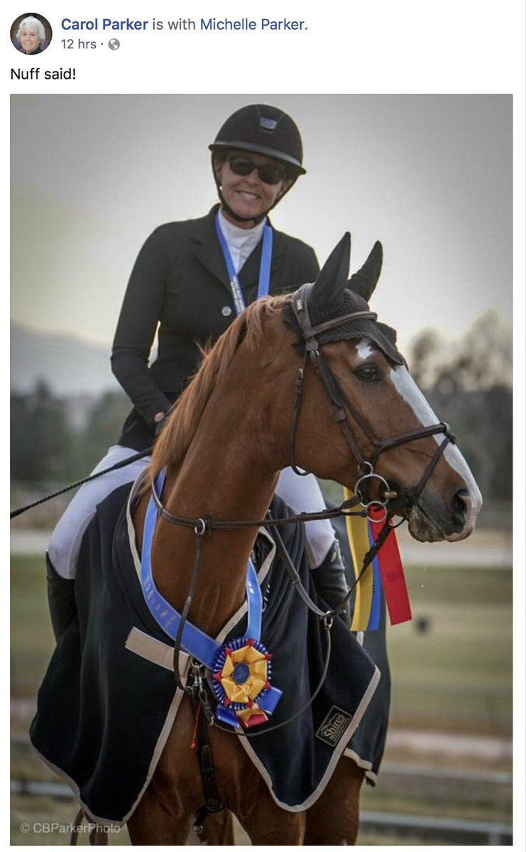 Zuccolotto Designs tweet media