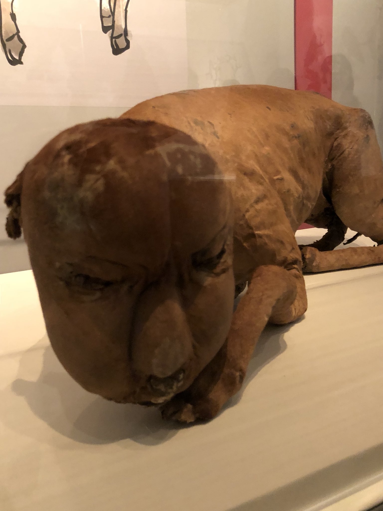 一点物 鴉天狗のミイラ 妖怪 烏天狗 ミイラ芸術作品 怪奇標本 都市伝説