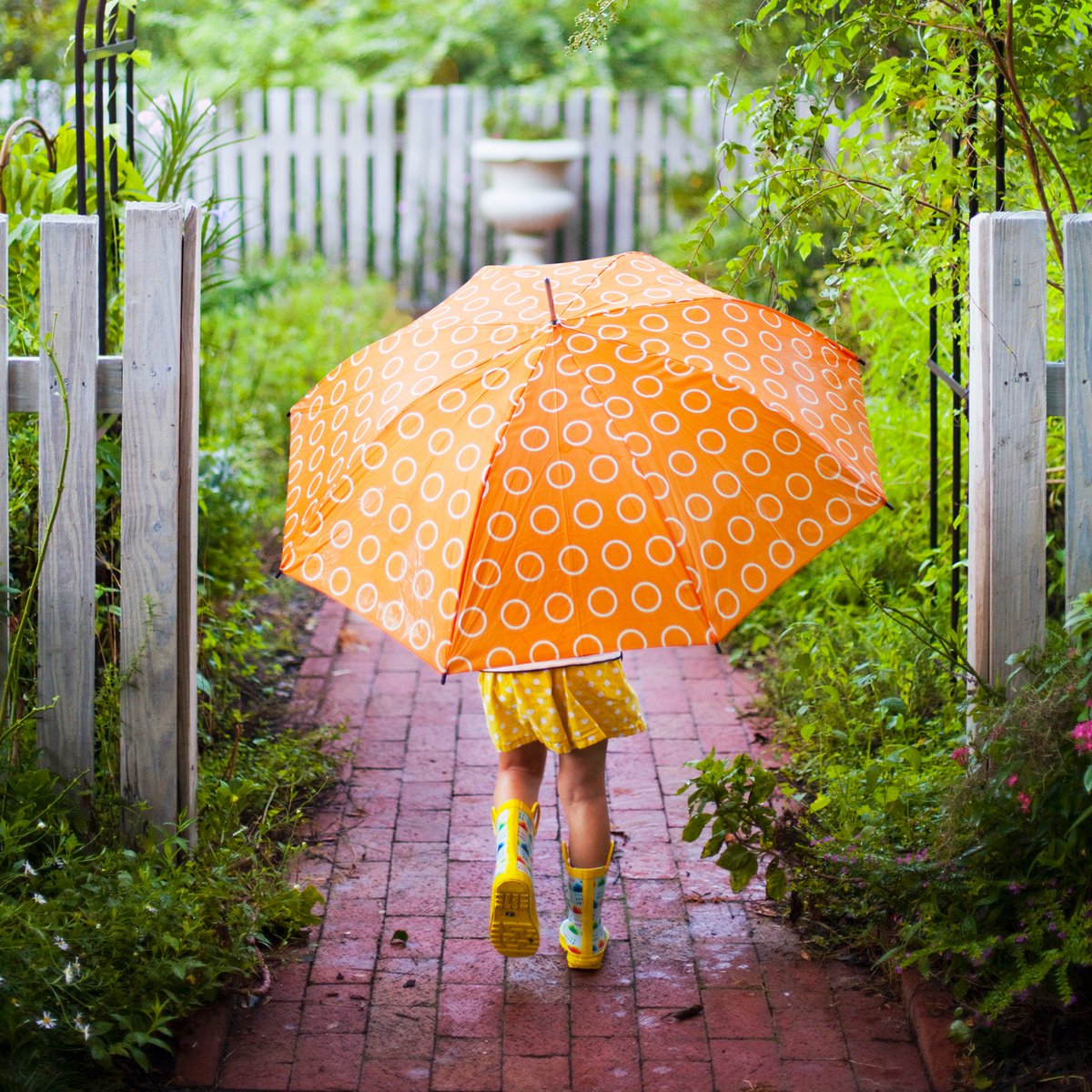 OfficialEsterC's tweet photo. We’ve been inside long enough. Charge Gummies provide our family with immune support so we can feel good about frolicking through those April showers.* https://t.co/65luqTo7BU