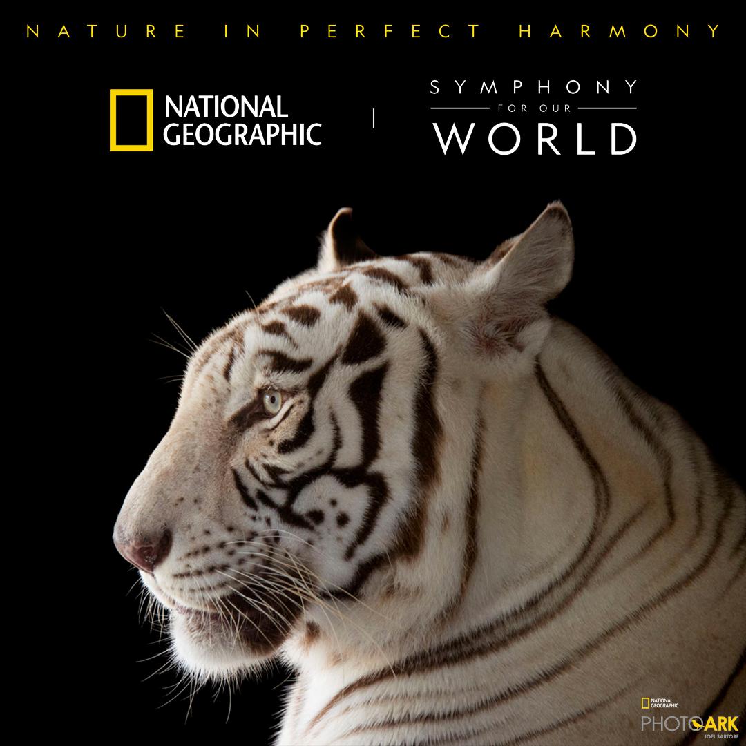 Species are disappearing at an alarming rate, but with your help we can #SaveTogether #EarthDay on.natgeo.com/2HWCsYF