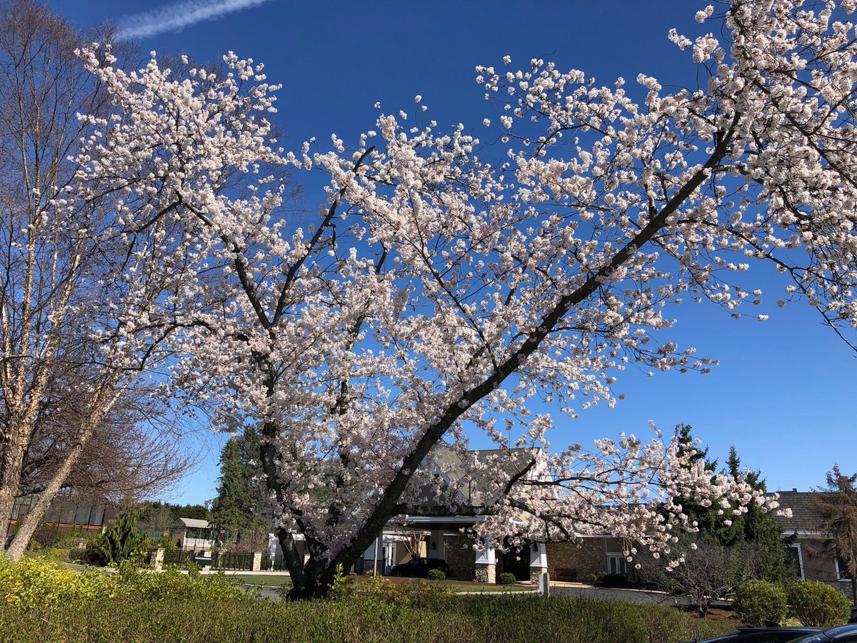 women_oc's tweet image. Ready to start the day at White Manor CC. with #SwingWithStyle #fashion brunch followed by #golf on a pretty spring day!