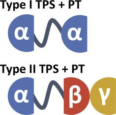 ChemBioChem's tweet photo. Review of chimeric terpene #synthases for biosynthesis of #terpenoids (Abe @UTokyo_News_en) https://t.co/GkYMLVAAXG https://t.co/BkCbnVp9lv