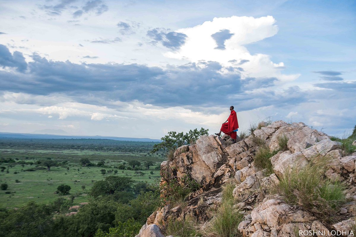 Nature_Africa's tweet photo. My country, my home, my wildlife. Celebrate your natural heritage this #EarthDay by submitting your most inspiring photos to @nature_org's global photo contest: https://t.co/MjT9ftAfj8 https://t.co/oOOCMhYeMU