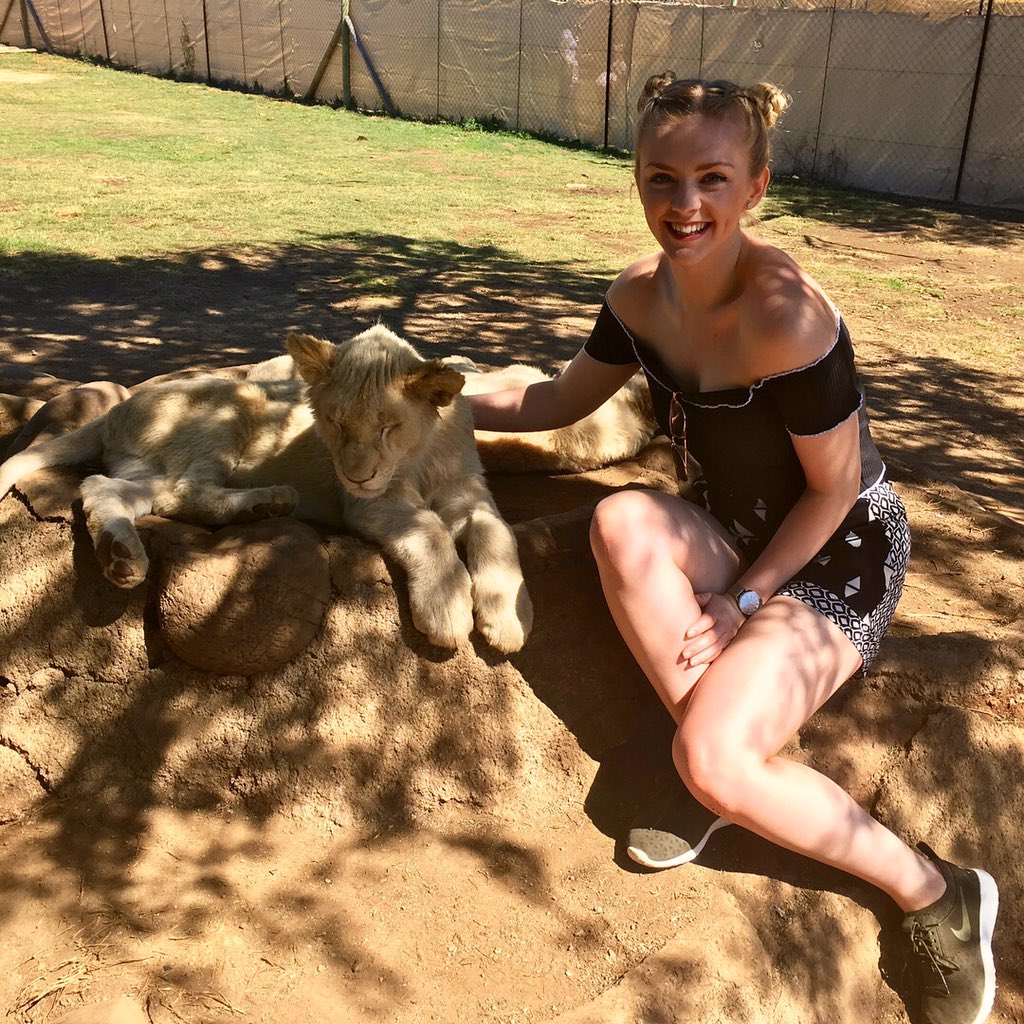 Today I played with rescued Lion Cubs 🦁❤️