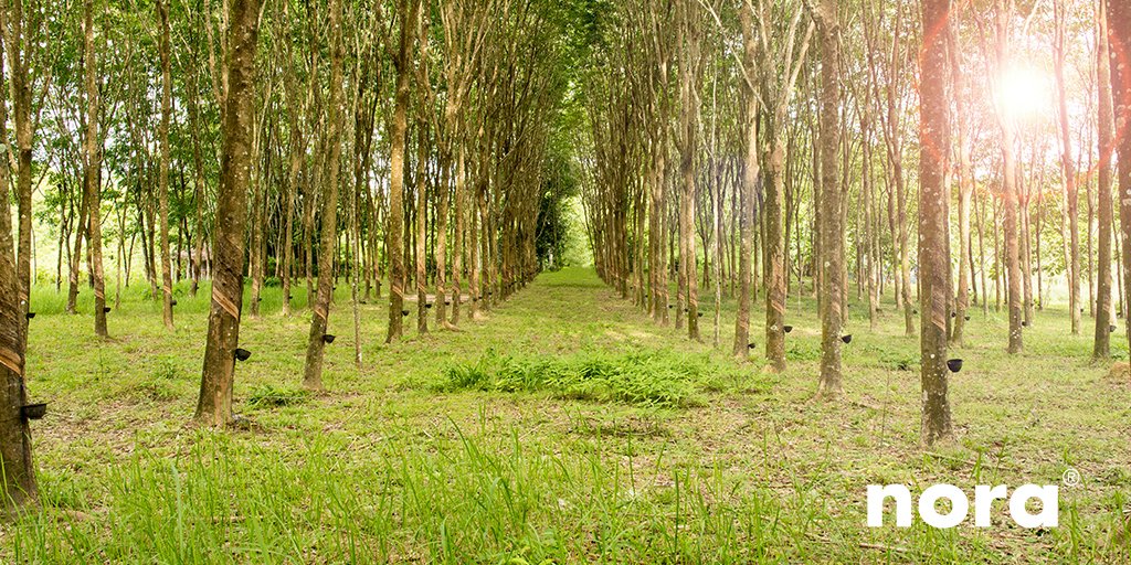 We celebrate #EarthDay every day through our commitment to sustainability and our dedication to using natural rubber and raw materials to produce our #rubberflooring  🌎 ow.ly/tj4330jeCGH