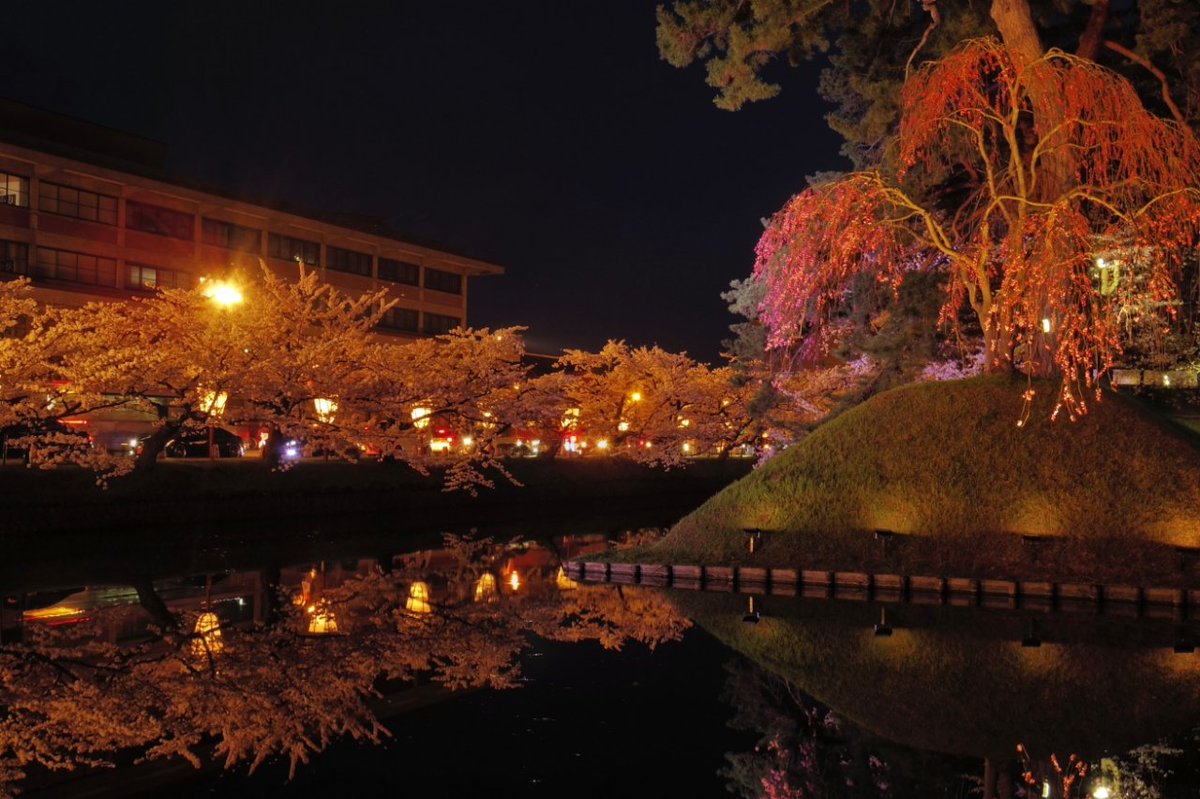 でもこんな風景見たら、そのまま帰るなんて無理だよね、やっぱり。
語彙力が完全に焼失して ｢すごい･･･｣ とだけ呟きながら写真撮ってた。
