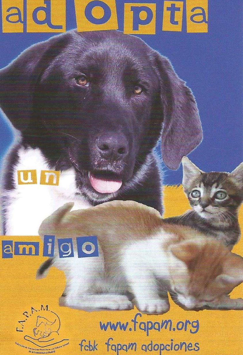fapamadrid's tweet photo. 🐾🐈🐕🐾¿NOS AYUDAS A DARLE UN BUEN EMPUJÓN A LAS ADOPCIONES?🐾🐕🐈🐾🐾
DIFUNDE - AYUDA A ENCONTRARLES UN HOGAR, NO MERECEN VIVIR ENCERRADOS, MERECEN UNA VIDA MEJOR. ❤️ https://t.co/4Scy3Uor6Q