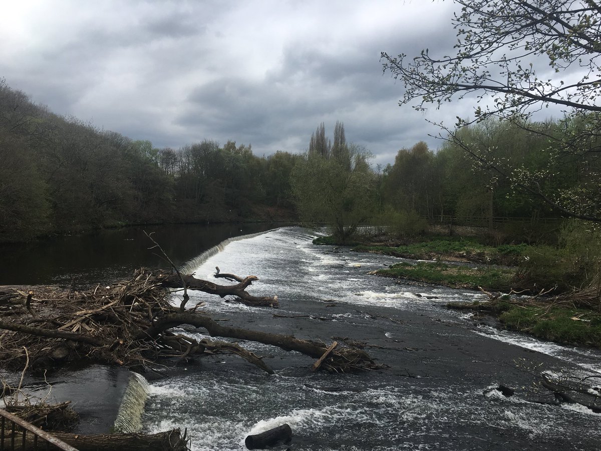 samkaygrey's tweet photo. Waiting for our two intrepid kayakers and wondering where they are going to get out!?! @ProfJGrey @WildTroutTrust https://t.co/DZVfWyw6cT
