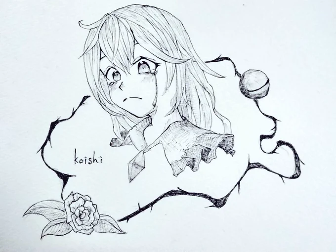 koishi 