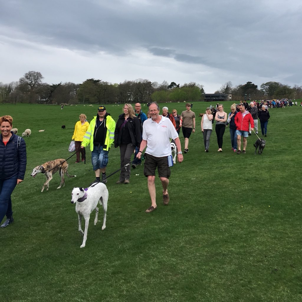 J_Loaf's tweet photo. LOTS of folks and hounds at @YSPsculpture today. Lovely to see so many friendly faces, old and new. #littlescrot. https://t.co/9sppcrtR8E
