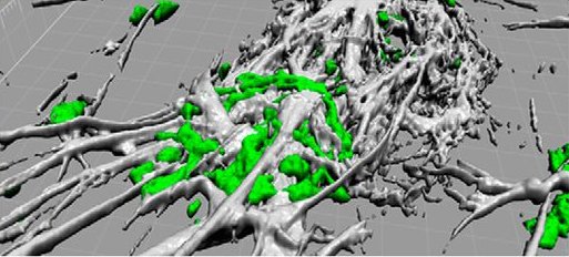 book magnetic materials in japan research applications