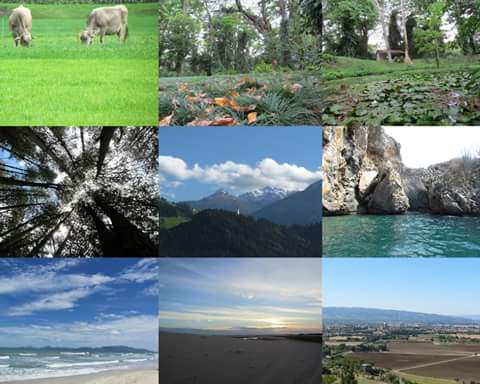 duranmarquez's tweet photo. Celebremos nuestro hogar ¡Cuidémoslo!

#DiaDeLaTierra #22Abr https://t.co/DbcCouHtel