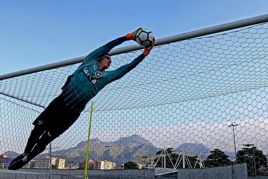 GATITO! 

📸 Vitor Silva