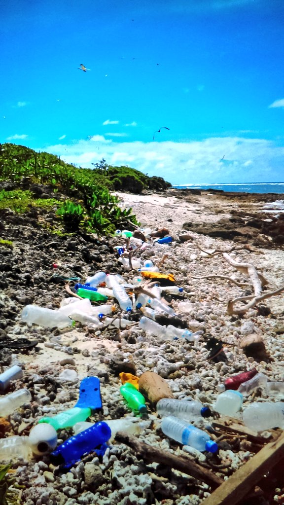 Even on some of the most remote uninhabited islands in the world, the beaches are sadly still strewn with #plasticpollution. This #EarthDay make the #OneLess pledge and go plastic bottle free to help protect the #ocean and #OurBluePlanet. #ThereIsNoAway