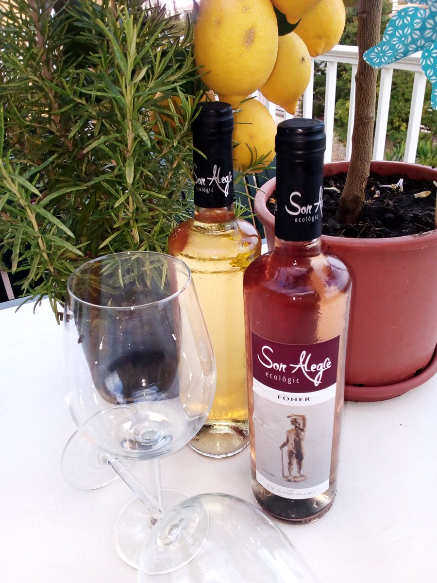 Just tasting the 2017 Son Alegre blanco and rosat. #videterrademallorca #cosecha2017 #autochtone #giroros #vinyessonalegre