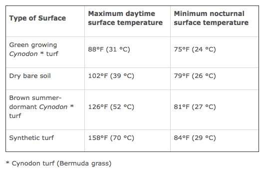 PremierPro tweet media