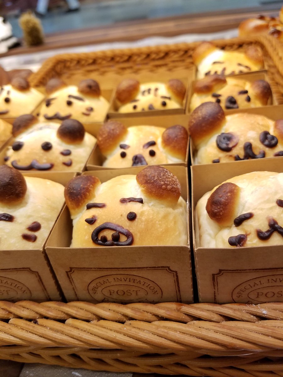 どんぐり Ar Twitter どんぐり西岡店 動物boxに時々ブタさんがいるらしい どんぐり 動物 パン屋 札幌パン屋 どんぐり Ar Twitter どんぐり西岡店 動物boxに時々ブタさんがいるらしい どんぐり 動物 パン屋 札幌パン屋