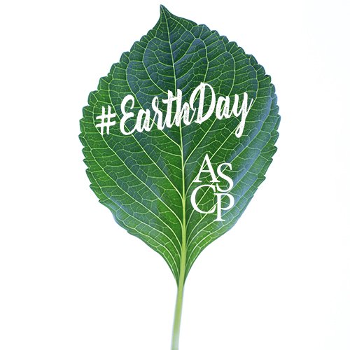 ASCPharm's tweet photo. Happy #EarthDay! ASCP is proud to #gogreen at all our events by posting handouts online and offering cutting-edge meeting apps. Experience this (and many other great offers) first hand by attending the #ASCPForum! Register today: https://t.co/T4DaatJn5y #SenioRx https://t.co/b8dVSR00Zd