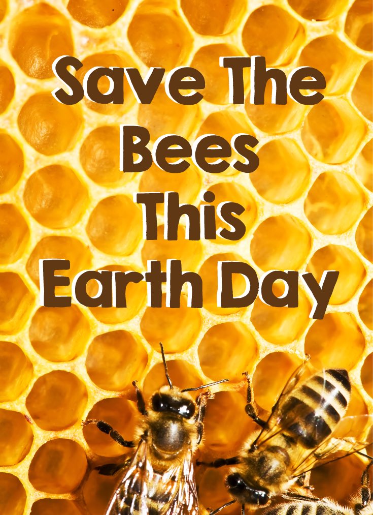 savethebees7's tweet photo. Happy Earth Day, all! Please take a minute to think of ways you could help our planet today! 💙🌎 #SaveTheBees https://t.co/Xh0Filo1Fe