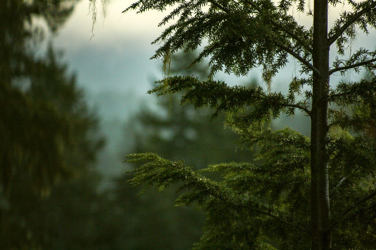 AdventureCV's tweet image. Let’s keep it this way. #EarthDay18 #earthday #Whistler