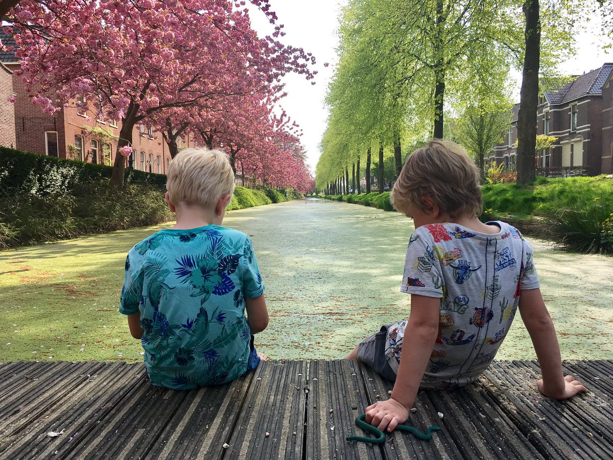 Nog even zomer en lente tegelijk in de mooiste straat van Bodegraven :).