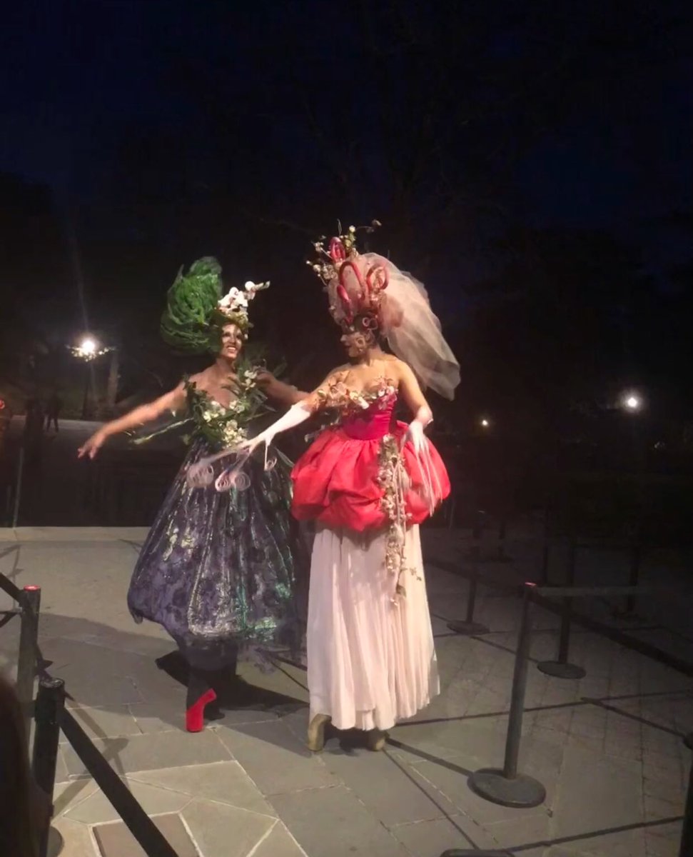 edjsandoval's tweet photo. A flowery stroll by the @NYBG with @chelsiamarcius & @bpaddockNYC #Orchids #orchidshow #DanielOst #NYBG #botanicgarden #nybotanicalgarden “Love is an orchid which thrives principally on hot air.” #MyrtleReed https://t.co/yloqCvcS2z
