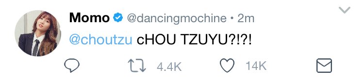 Momo wakes up and tweets and then panics