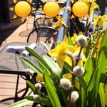 Photo by Cityside Bar (@Cityside)