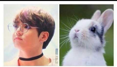 LharraCaryll's tweet photo. I don't care if you are 22
For us you are still the little baby bunny https://t.co/r8begQ6xBk