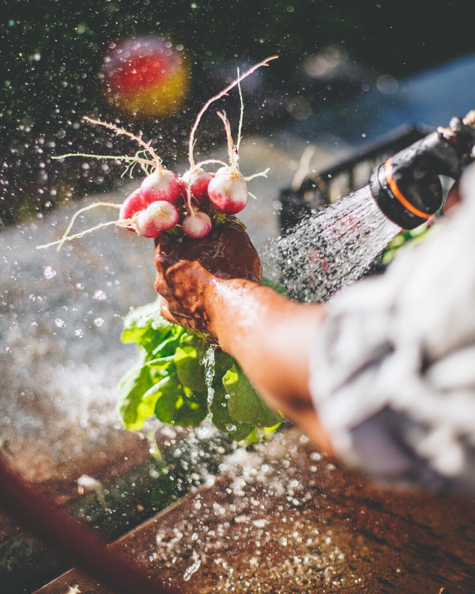 Happy #EarthDay 🌱🌾 #FloraFarms