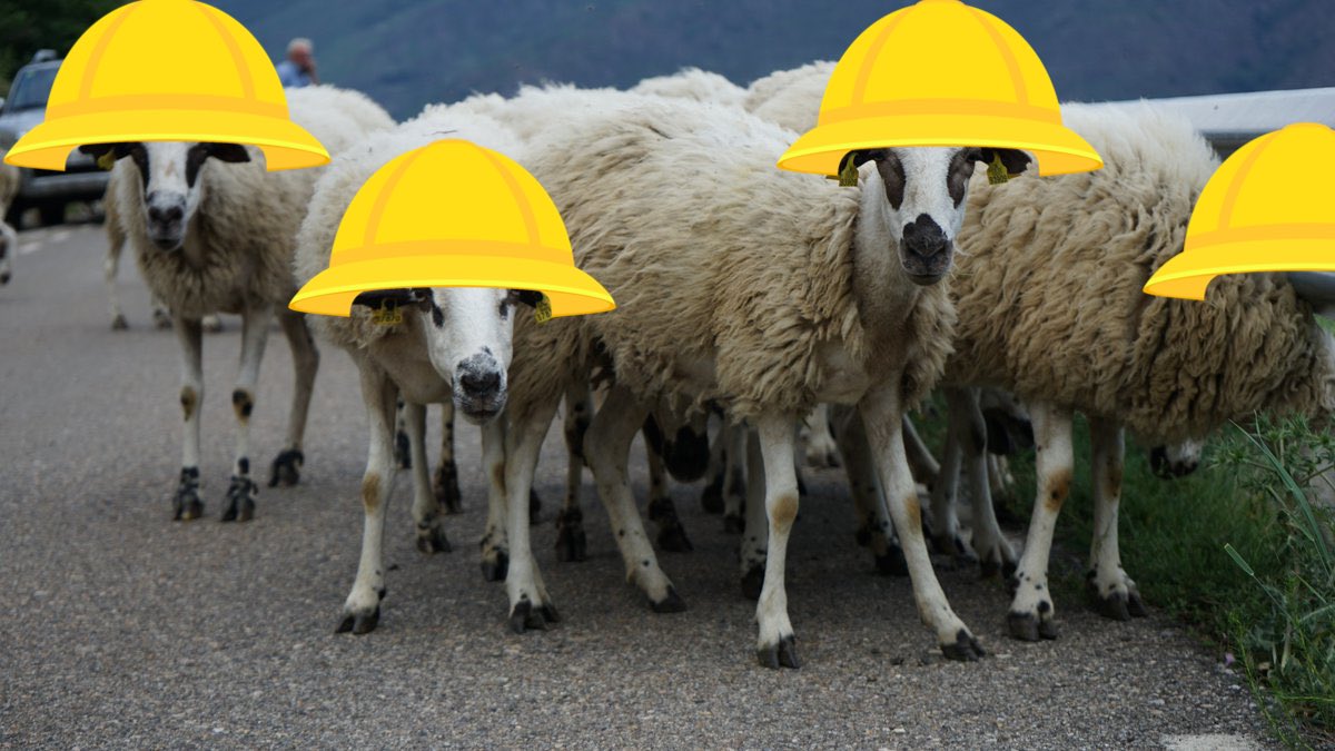 ℹ️❌Ja hem esbrinat el perque del col·lapse a la A-155, un ramat d’<a href="/OvellesStEsteve/">Ovelles de Sant Esteve de les Roures</a>🐑@PastorsRoures <a href="/PagesiaRoures/">PastorsStEstevedelesRoures</a> serieu tan amable de venir a buscar les vostres ovelles sedicioses? 

<a href="/324Roures/">324. FakerNius</a> 
#retencions #SantEsteveDelesRoures