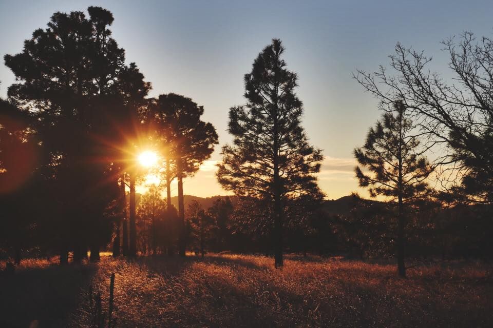 BCDsteamboat's tweet photo. Praising the beautiful backcountry this Earth Day, wherever your adventure takes you were certain we will want to tag along! Order online &amp; head for the hills: https://t.co/mrAHi70YLI 🌲🌎 #EarthDay #BackcountryDeli https://t.co/IPDqiF1oQx