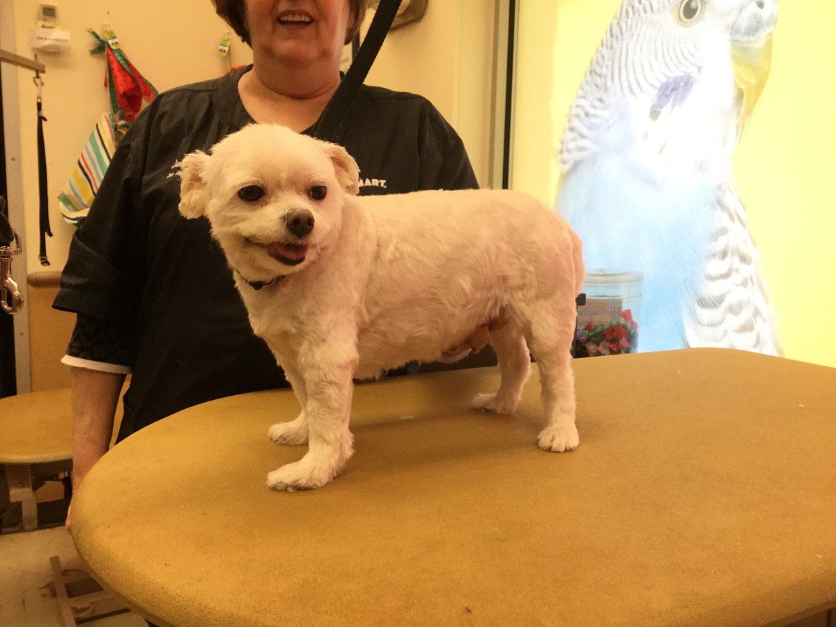 #0733 #northeastgrooming #ExtremeMakeover #NYC Stylist: Jackie Bowen Category:Extreme Makeover.