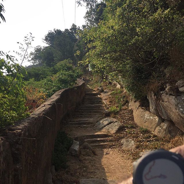 dynamicwatch's tweet photo. Exploring the 1175 #nandisteps, #bangalore with @garminfitness and #dwMap
.
#garmin #vivoactive #forerunner #fenix #routeCourse #beatyesterday #dynamicWatch #strava #fr935 https://t.co/O5lvj14gc8 https://t.co/lByaw7kAM2