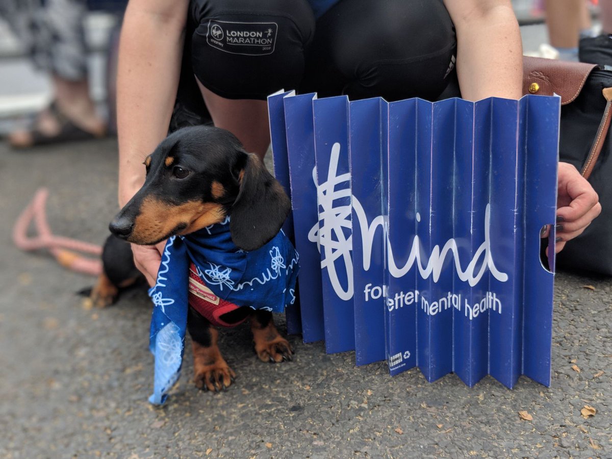 Frank the dachshund pupper is so moved by all the amazing Team Mind runners today, he's going to sign up for next year's #LondonMarathon. (After he's had a lie down, it's all been a bit too much excitement for one day 🐶 )