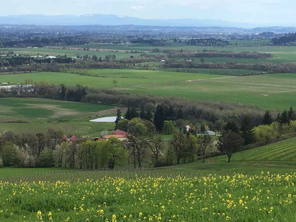 MichaelRDimock's tweet photo. Leaving #Oregon on #EarthDay2018 after 2 days of enjoying the beauty and bounty of #WillametteValley &amp; #DundeeHills. Oregonians tend well their land. @Langbaan #chapter24vineyards #LangeEstateWines @alitwines I’ll be back! https://t.co/C01FpNUe3e