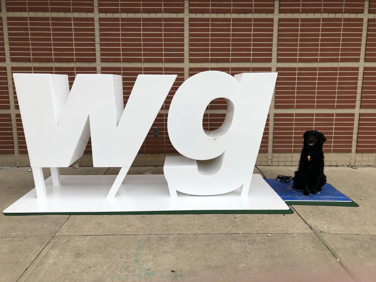 kac14330's tweet photo. Another season comes to a close today...  #wgi2018 #iamwgi ❤️😁 https://t.co/8GOqlF9X9v