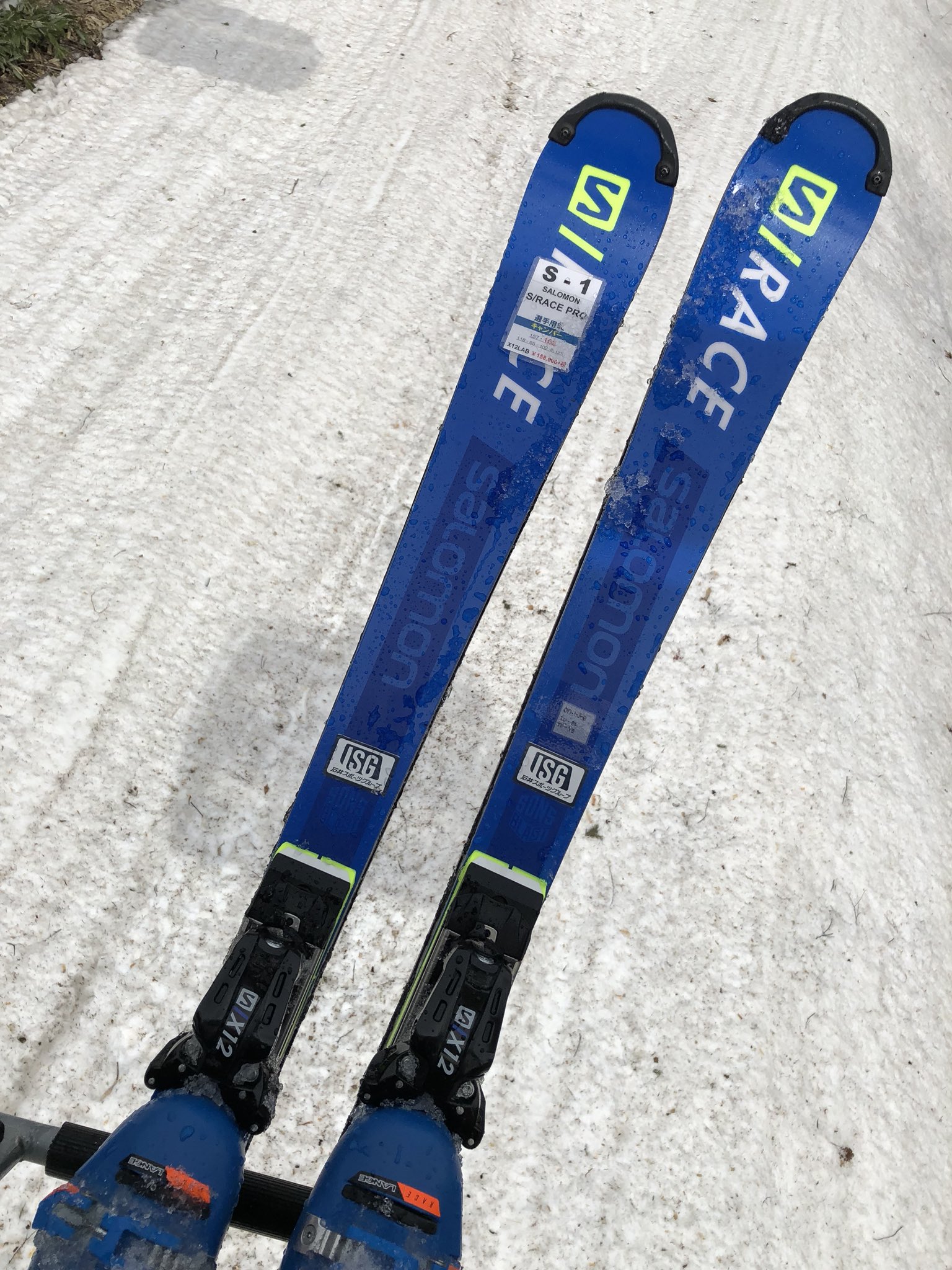 サロモン S/RACE SL FIS 165cm X12（スキー 板 x12 サロモンの