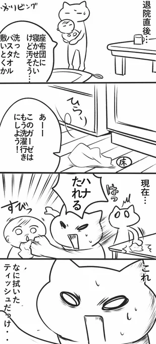 ちょっとした育児のことや日常のまんがを描いてます!
#エッセイ漫画SNS新人賞 