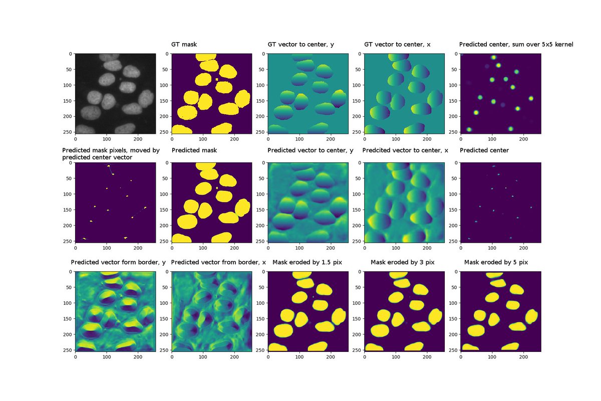 alxndrkalinin's tweet photo. Description of 4th place solution for #Kaggle Data Science Bowl 2018 https://t.co/lViYL1K87y
- inspired by Deep Watershed Transform
- 2 stacked U-Nets trained from scratch
- 1st UNet: vector fields
- 2nd: mask, watershed levels & nuclei centers
- heuristic postprocessing
#dsb2018 https://t.co/YCMn5pLKvX