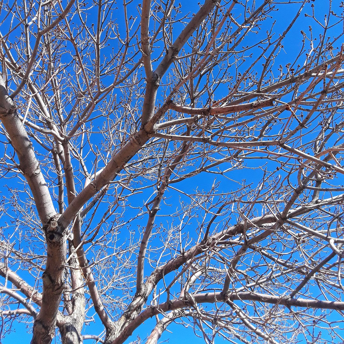 Now THIS is what spring is supposed to look like. #april22 #spring #coloradoweather #coloradosky