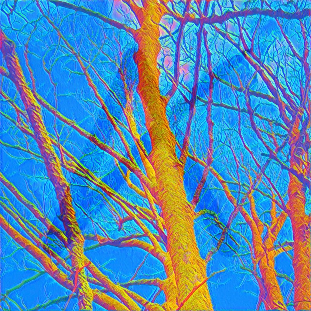 CMdigiART's tweet photo. Yellow Tree #yellow #tree #ireland #digitalart @DigitalCloudArt @DigitalArtSrc @dA_digital  what do you think @TonjeWGamst? https://t.co/7a1z8MlAKZ