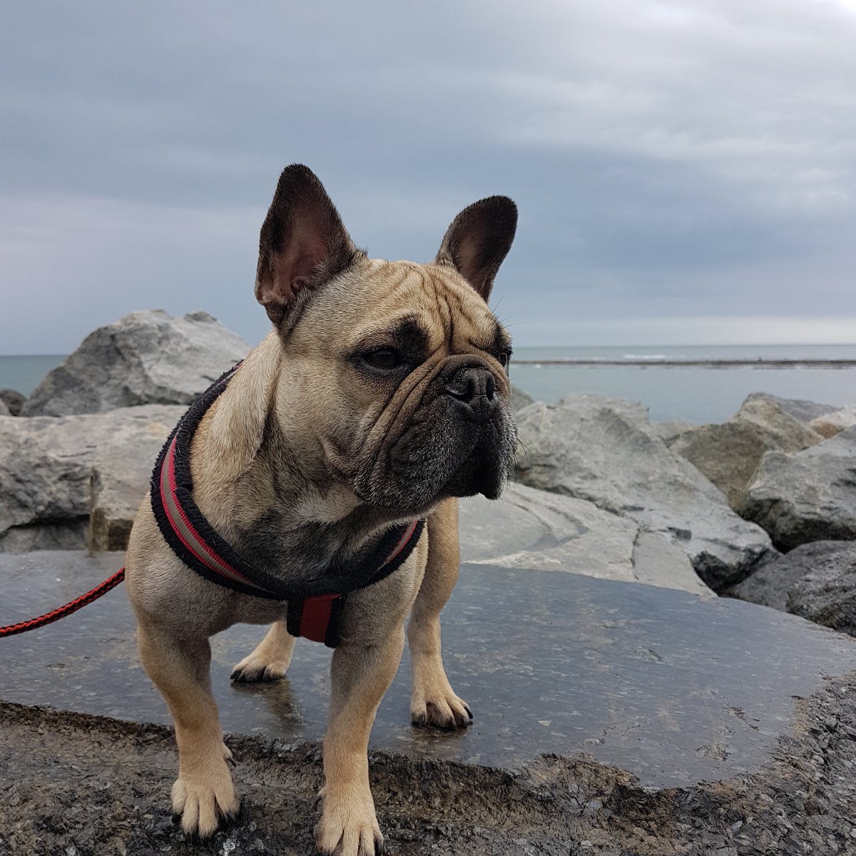 Wild about swimming (@wildabtswimming) on Twitter photo 