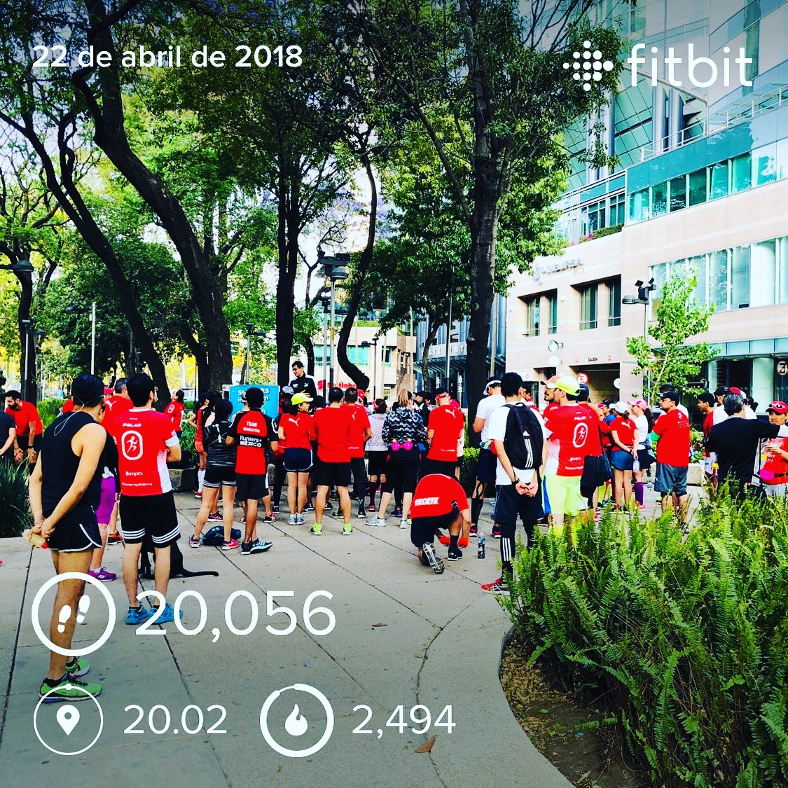 JI_VERA's tweet photo. #Entrenamiento ๐๐ปโโ๏ธ@RunnersPlusMx ๐ดโช๏ธ @Fitbit โก๏ธ #Run #Running #RunnersPlus #Fitbit #MyReasonIs Transform me into a better version of myself ๐ #Fitness #Training #InstaFit #LifeIsGood #Workout #FitbitFriends #FitbitSteps #FitbitAddict #FitbitFamily โ๏ธ https://t.co/gdUCvA1yQM
