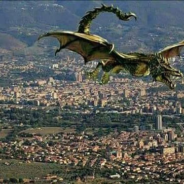 AndreaPeruzzo's tweet image. FORZA FEREEEEEEEEE