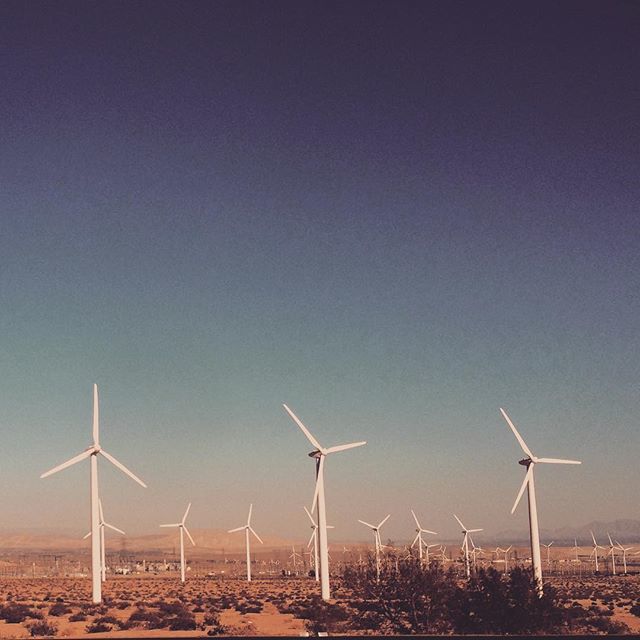 "The first rule of sustainability is to align with natural forces, or at least not try to defy them." // Paul Hawken #earthday2018 #sustainability ift.tt/2HRBc8U