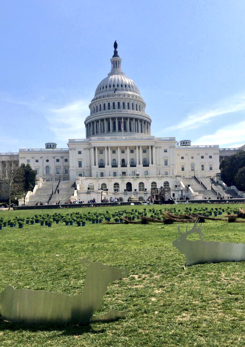 #EarthDay “Tree Party” in front of the Capitol. <a href="/WOODCHUCKUSA/">WOODCHUCK</a> sponsoring the event. It has planted over 1,000,000 trees across the planet and pledges to plant over 10 million trees in the next 2 years. <a href="/wusa9/">WUSA9</a>