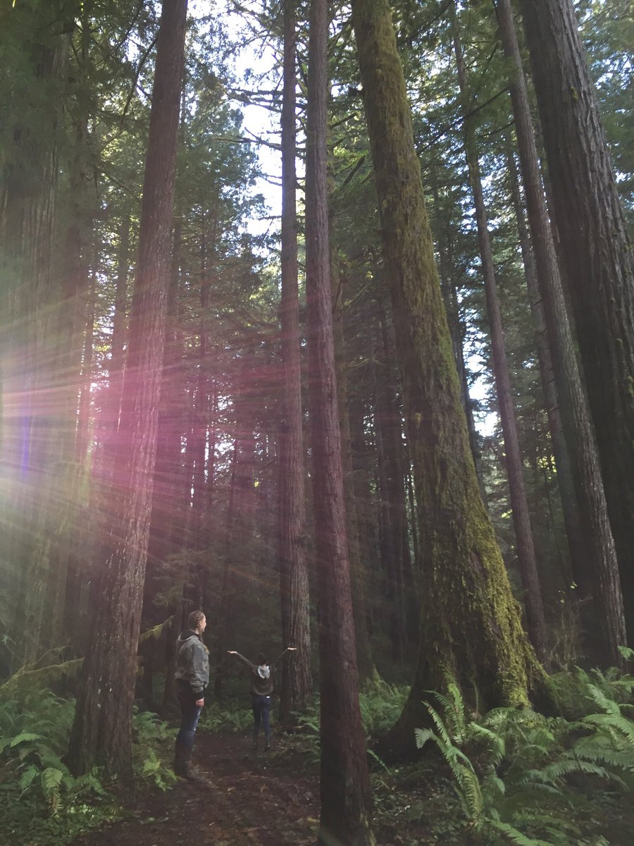 MeronArianna's tweet photo. 🌎🌲 https://t.co/89AUtVi5WN